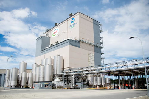 从“老朋友”到“星鑫校友圈” 伊利集团以“拓圈强链”战略引领乳业高质量发展